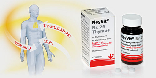 NeyVit Nr. 29 trägt zu einer normalen Funktion des Immunsystems bei