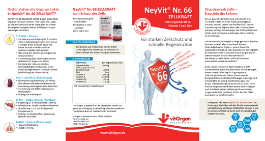 NeyVit Nr. 66 - Flyer zum Download