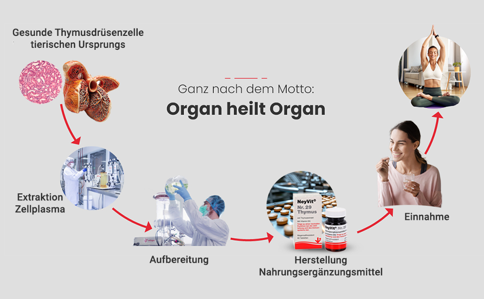 NeyVit® Nr. 29 Thymus
